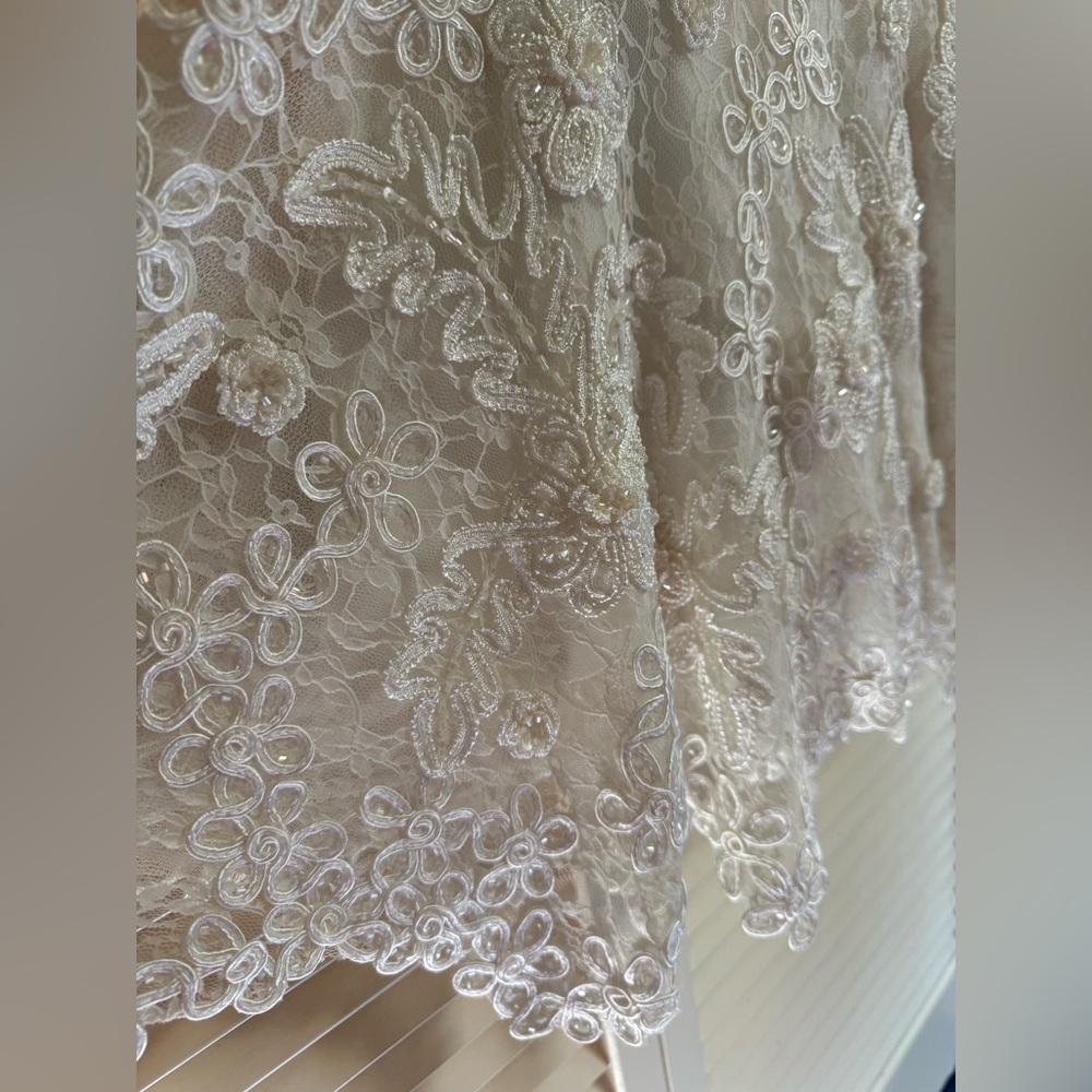 Like New!! Sue Wong Size 8 Ivory Lace Beaded Dress👰🏼‍♀️ - Picture 3 of 11